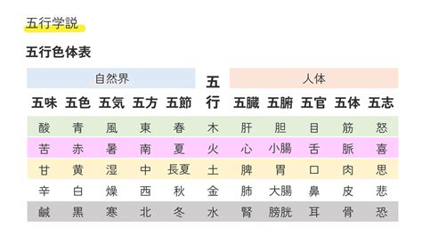 五行色体表とは|【中医基礎理論 第33講】